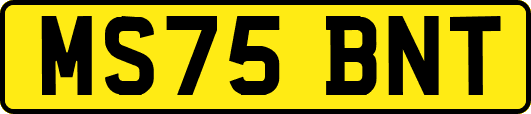 MS75BNT