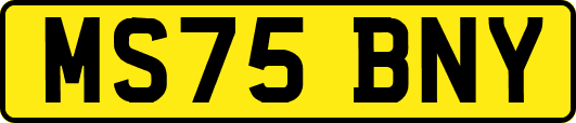 MS75BNY