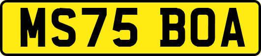 MS75BOA
