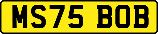 MS75BOB