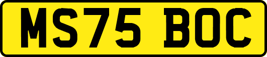 MS75BOC