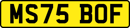 MS75BOF
