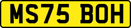 MS75BOH