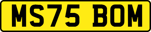 MS75BOM