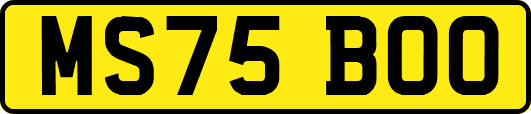 MS75BOO