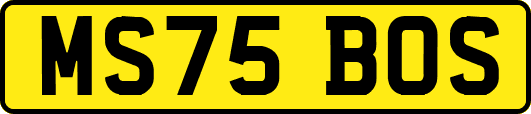 MS75BOS