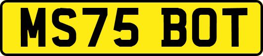 MS75BOT