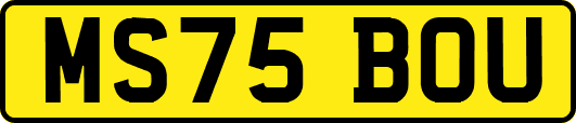 MS75BOU