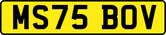MS75BOV