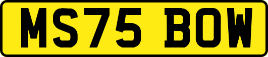 MS75BOW