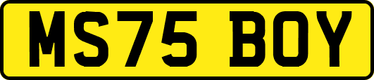 MS75BOY