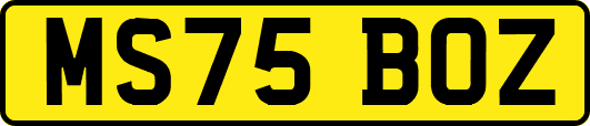 MS75BOZ