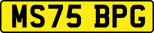 MS75BPG