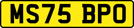 MS75BPO