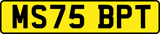 MS75BPT