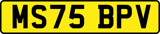MS75BPV