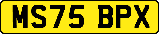 MS75BPX