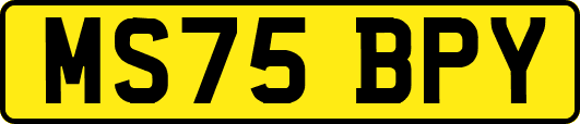 MS75BPY