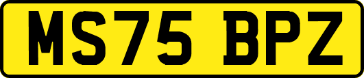 MS75BPZ