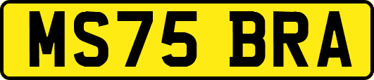 MS75BRA
