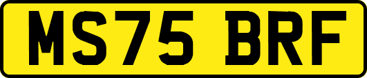 MS75BRF