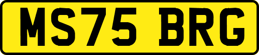 MS75BRG