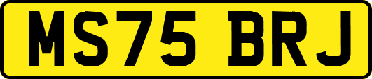 MS75BRJ
