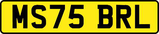 MS75BRL