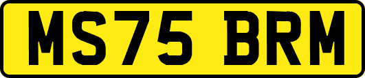 MS75BRM