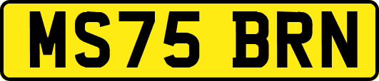 MS75BRN