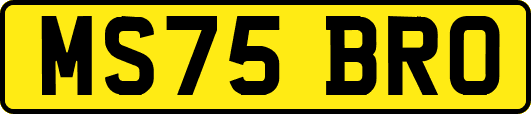 MS75BRO