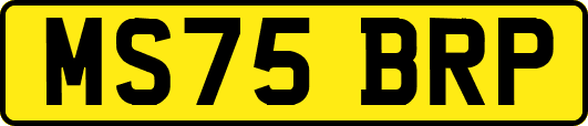 MS75BRP