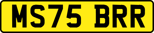 MS75BRR