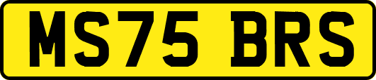 MS75BRS