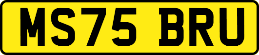 MS75BRU