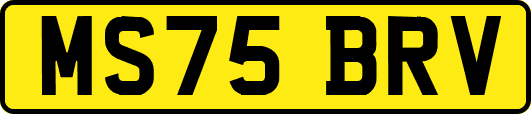 MS75BRV