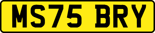 MS75BRY