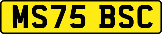 MS75BSC