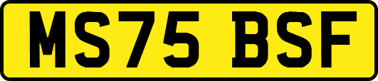 MS75BSF