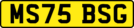 MS75BSG