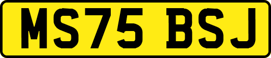 MS75BSJ