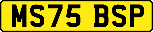MS75BSP