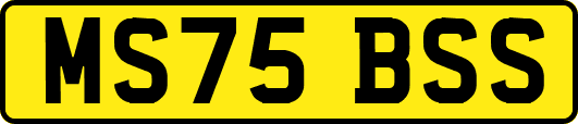MS75BSS