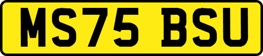 MS75BSU