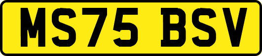 MS75BSV