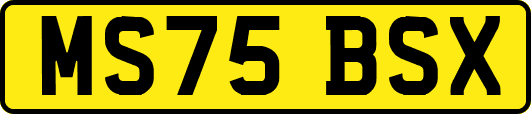 MS75BSX