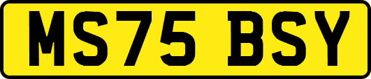 MS75BSY