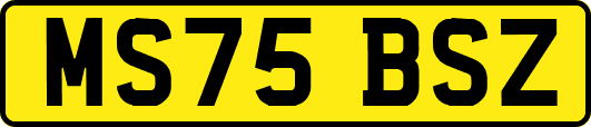 MS75BSZ