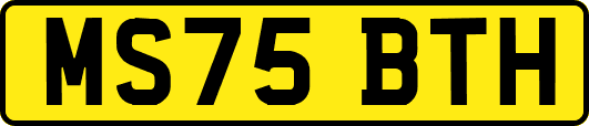 MS75BTH