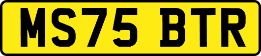 MS75BTR